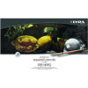 Crayons de couleur - Aquarelle - Beaux-arts - Coffret métal - 36 pièces - Rembrandt - Lyra