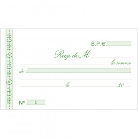 Manifold - Carnet de reçus - 10,5 x 18cm - Exacompta | Surdiscount
