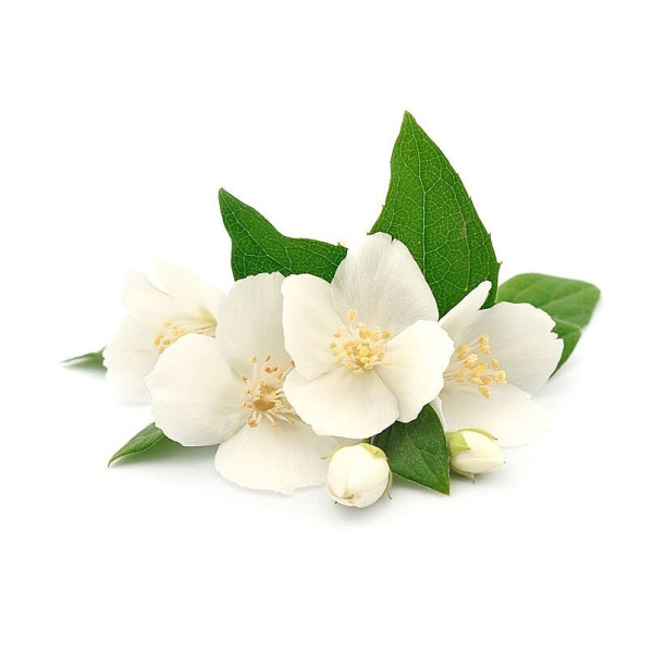 Parfum - Pour bougie à faire soi même - Senteur jasmin - 27ml
