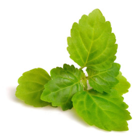 Parfum - Pour bougie à faire soi même - Senteur patchouli - 27ml