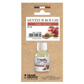 photo-Parfum - Pour bougie à faire soi même - Senteur pomme épicée - 27ml