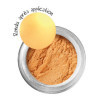 Poudre - Effet métallique or - Pour pâte FIMO - Pot de 8g - Graine Créative