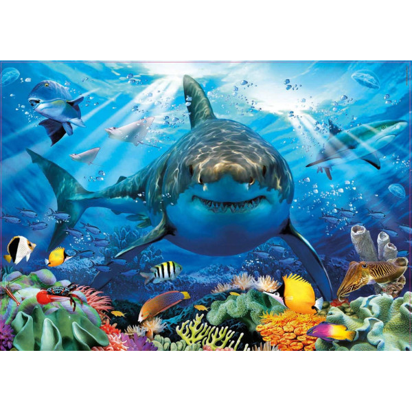 Puzzle - 500 pièces - Le requin blanc et les poissons - 48x34cm - Educa
