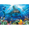Puzzle - 500 pièces - Le requin blanc et les poissons - 48x34cm - Educa