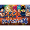 Puzzle - 300 pièces - Dragon Ball Z Super - 40x28cm - Educa