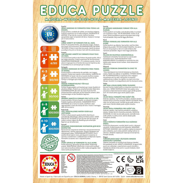 Puzzle - 2 x 50 pièces - Disney - Mickey et ses amis - 26x18cm - Enfant - Educa