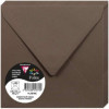 photo-Enveloppes - Carré - 140x140mm - Pollen - Marron taupe - 20 unités - Clairefontaine