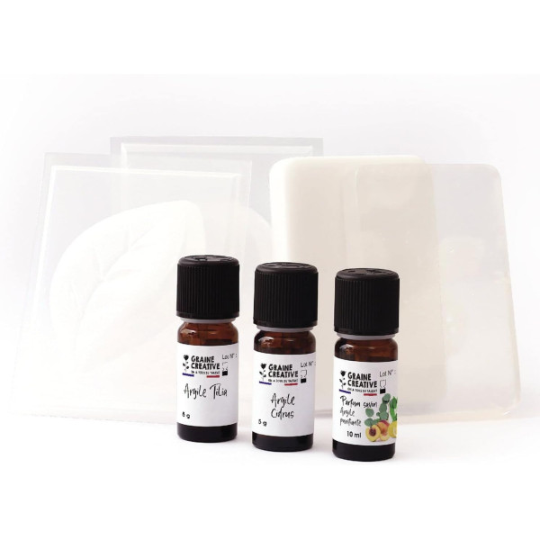 Kit créatif - Créer des savons aux argiles - Moules + blocs de savon - Graine créative