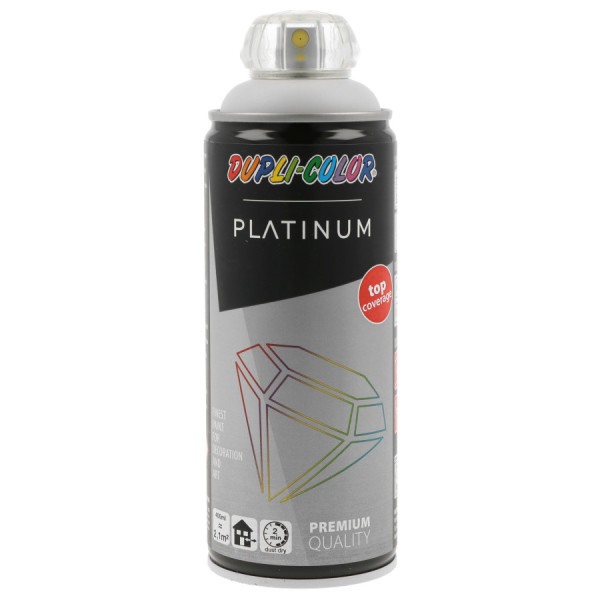 photo-Bombe de peinture - Gris clair - RAL 7035 - Satiné mate - Décoration - Platinium