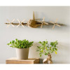 Trophée Mural En Carton - Avion - Ctop | Surdiscount