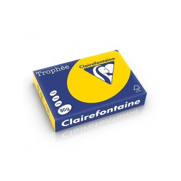 500 Feuilles A4 - 80G - Couleur Pastels - Bouton D'Or - Trophée Clairefontaire 1780C pas cher