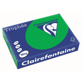 250 Feuilles A4 - 160G - Couleur Vives - Vert Billard - Trophée Clairefontaire 1007C pas cher
