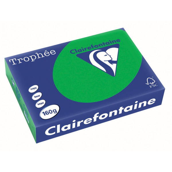250 Feuilles A4 - 160G - Couleur Vives - Vert Billard - Trophée Clairefontaire 1007C pas cher