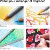 Coffret - Crayons de couleur - Dessin - Beaux-arts - Winsor et Newton - Collection - 50 pièces