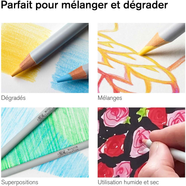 Coffret - Crayons de couleur - Aquarelle - Beaux-arts - Winsor et Newton - Collection - 50 pièces