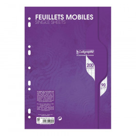 200 feuillets mobiles - Grands carreaux - 21x29,7cm - 90g - Calligraphe
