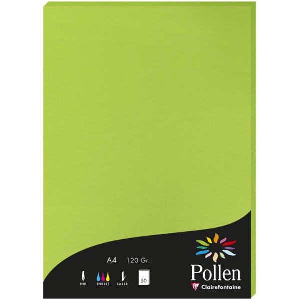 photo-Papier - A4 - Pollen - Vert menthe - 120g - 50 feuilles - Clairefontaine
