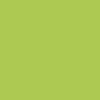 Papier - A4 - Pollen - Vert menthe - 120g - 50 feuilles - Clairefontaine