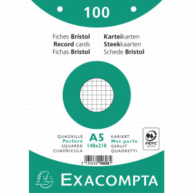fiche bristol A5 perforée