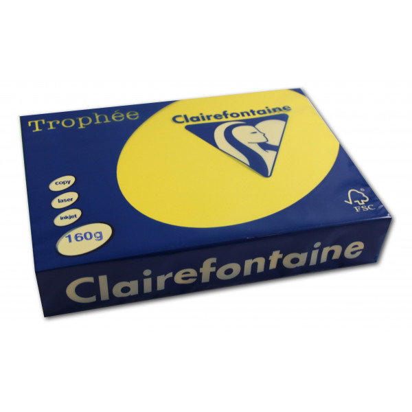250 feuilles A4 - 160g - Couleur vives - Jaune soleil - Trophée Clairefontaire
