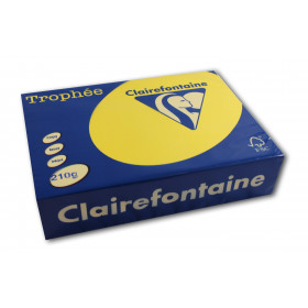 250 feuilles A4 - 210g - Couleur vives - Jaune soleil - Trophée Clairefontaire