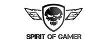 Spirit Of Gamer