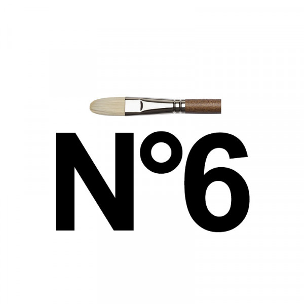 n°6